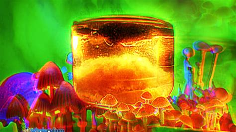 The Role of Liquid Culture in the Commercial Magic Mushroom Industry